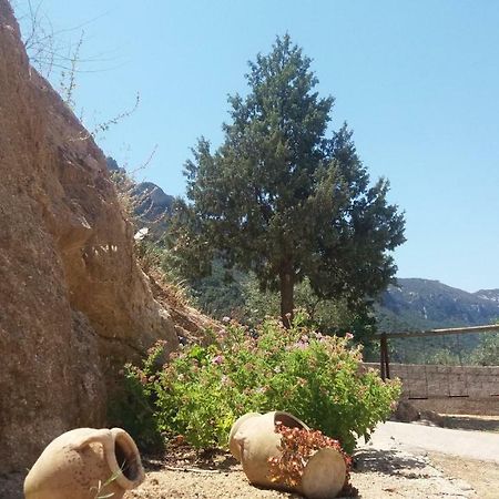 Casa Lucia Campagna Relax Pension Dorgali Buitenkant foto