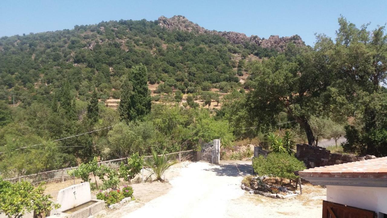 Casa Lucia Campagna Relax Pension Dorgali Buitenkant foto